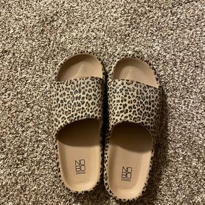 Cheetah slides